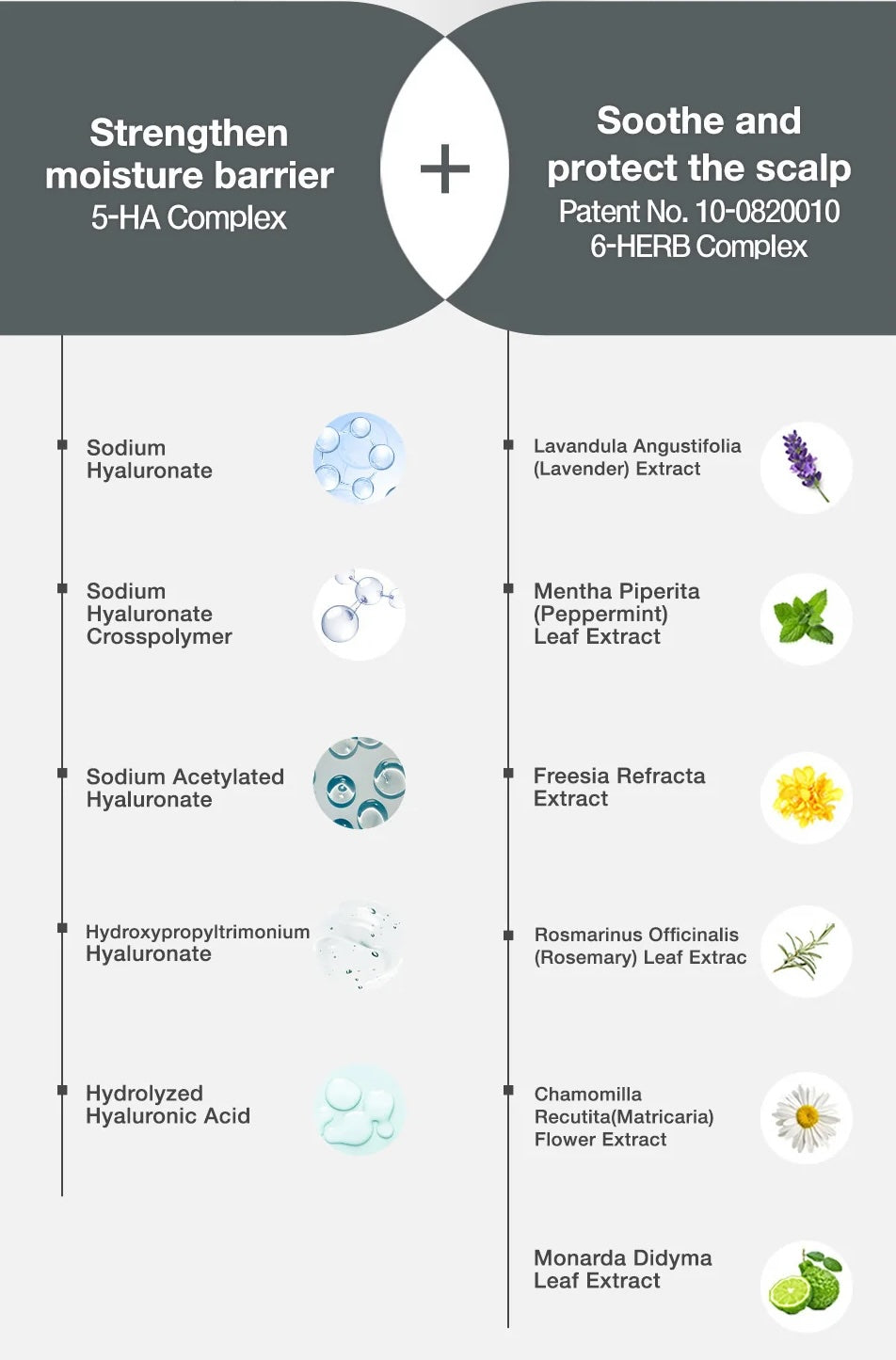 Folligen Silk Shampoo