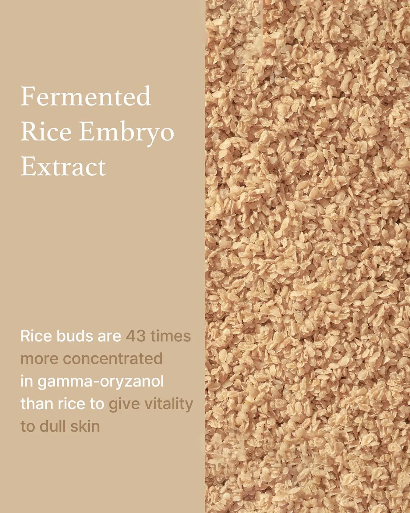 Rice Serum
