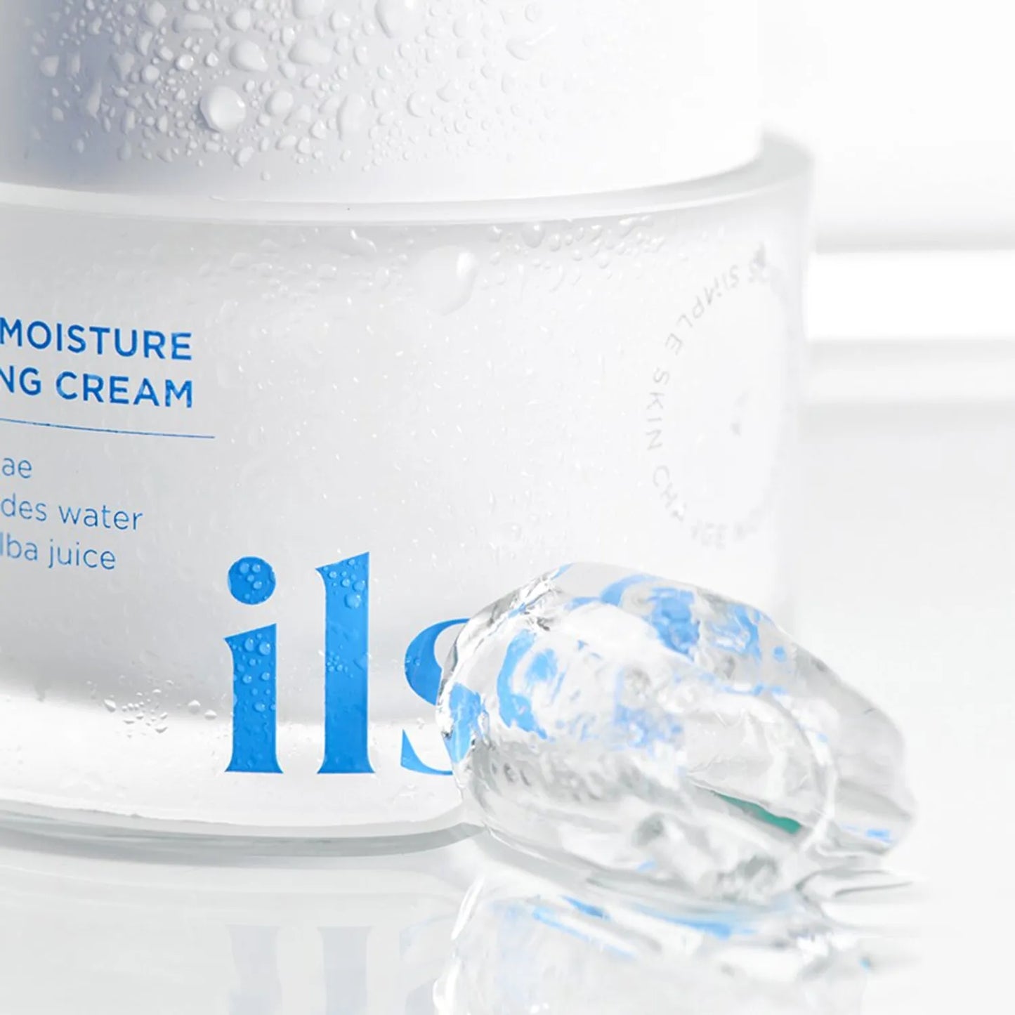 Daily Moisture Pudding Cream
