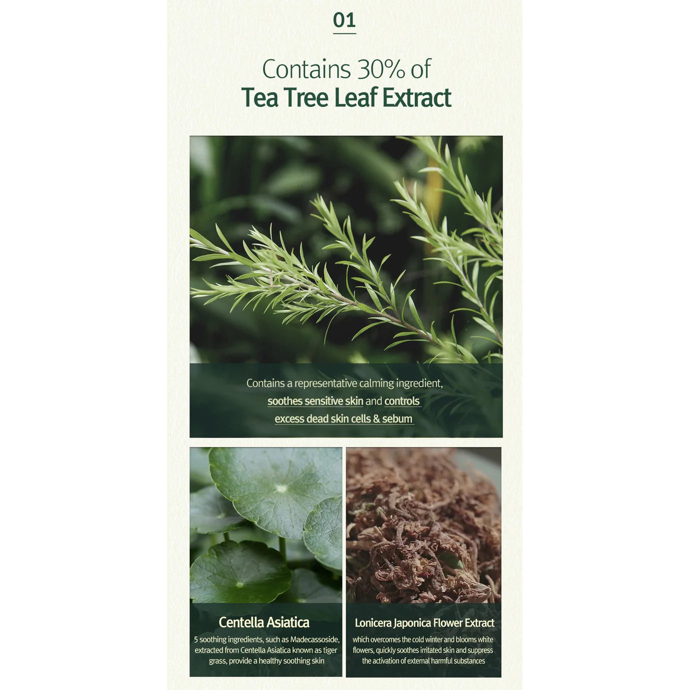 Calming Acne Cleansing Foam