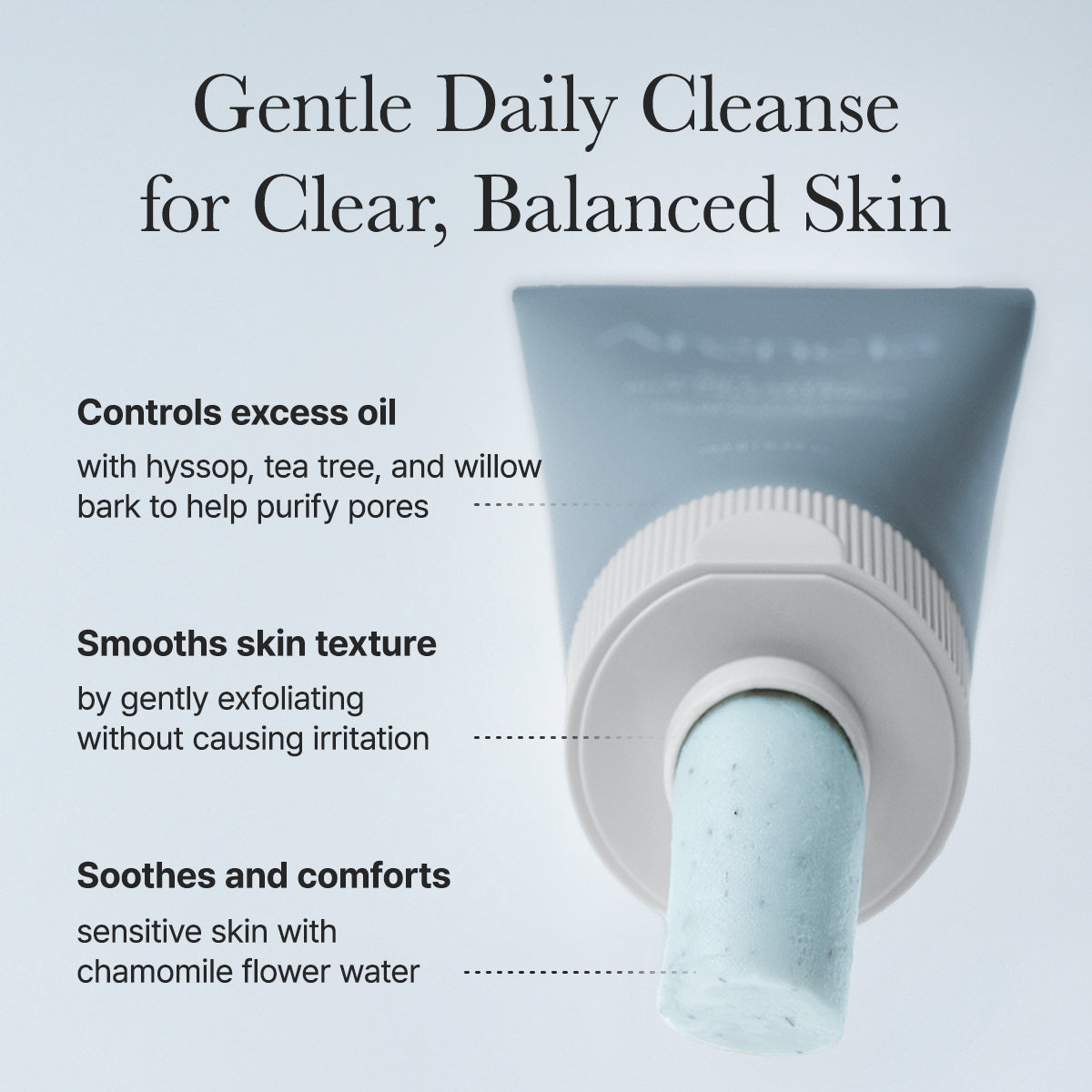 Arencia Hyssop Sebum Control Rice Cake Cleanser