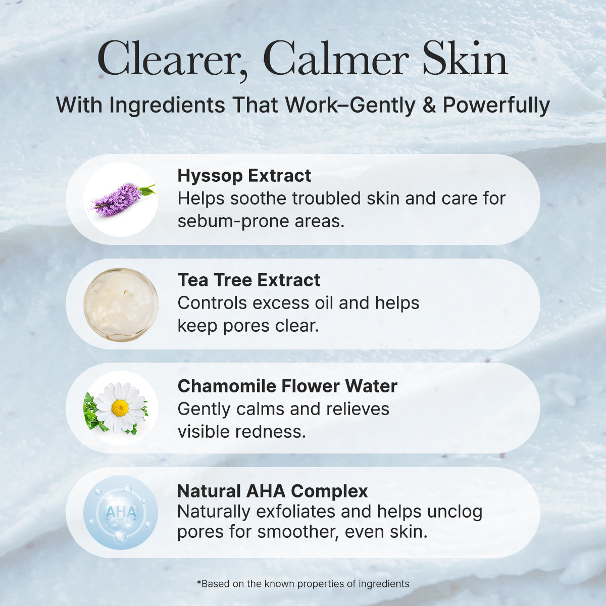 Hyssop Sebum Control Rice Cake Cleanser
