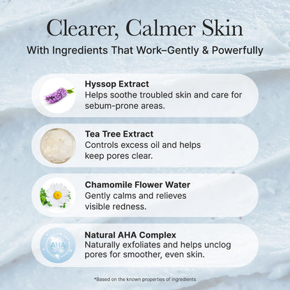 Hyssop Sebum Control Rice Cake Cleanser