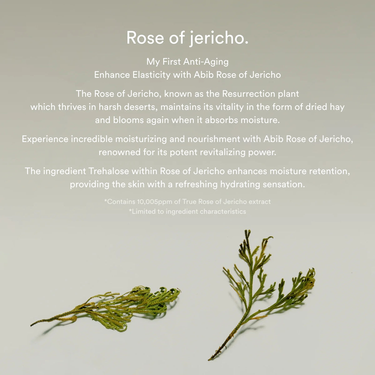 Abib Collagen Eye Crème/Jericho Rose Tube