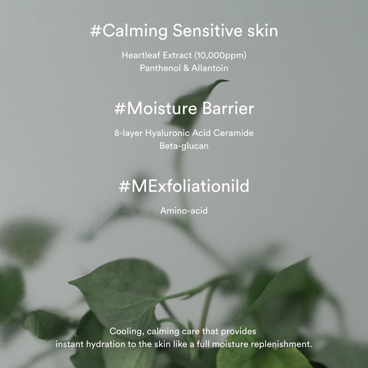 Abib Heartleaf crème/Calming tube