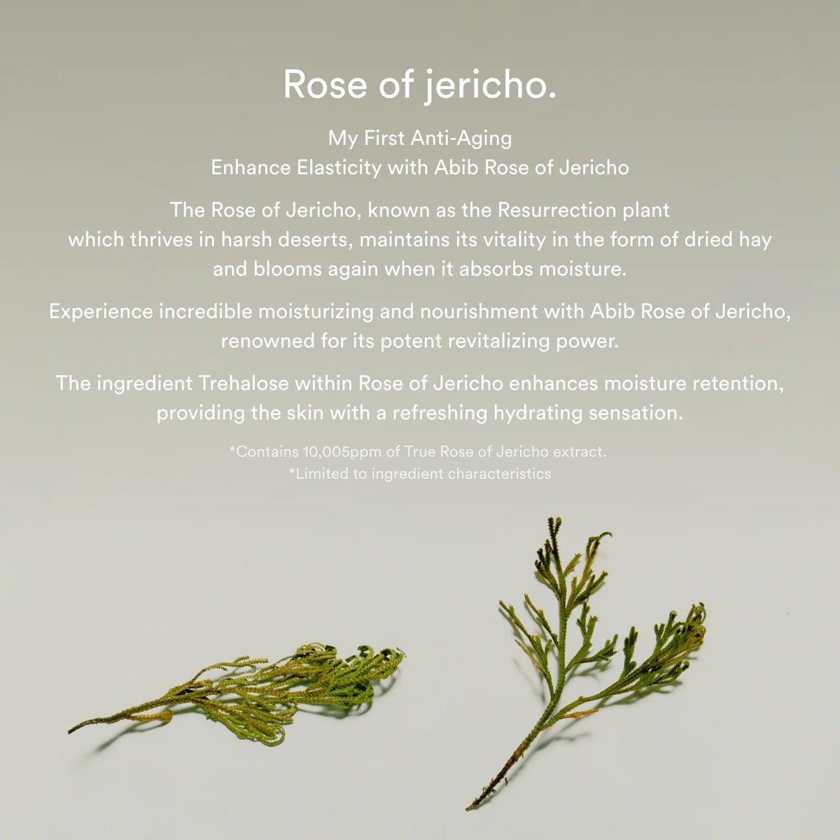 Abib Jericho Rose Bifida Serum/Firming Drop