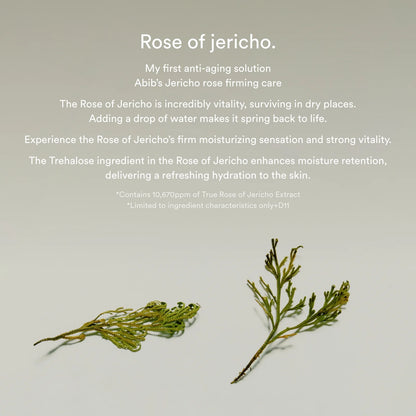 Jericho Rose Collagen Pad/Firming Touch