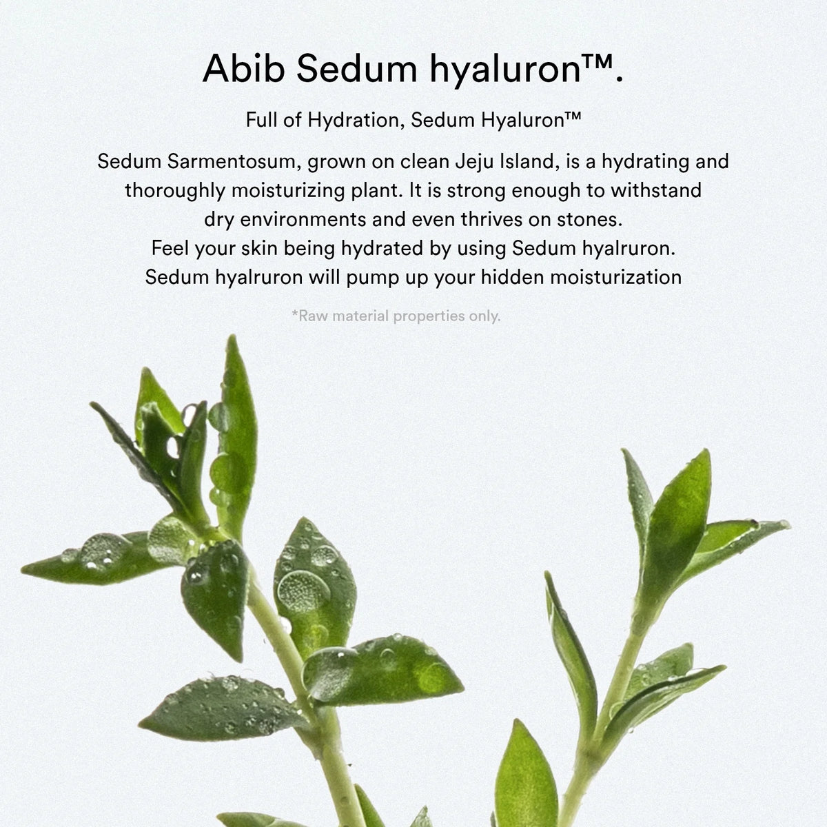 Abib Sedum Hyaluron Crème/Hydrating Pot