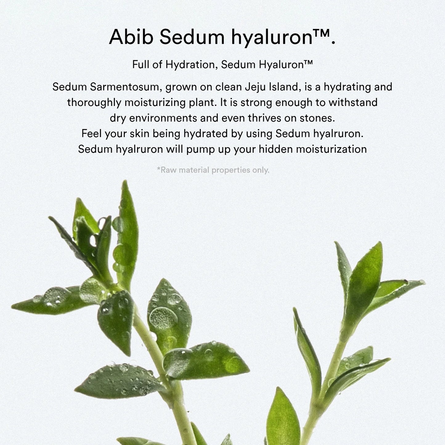 Sedum Hyaluron Pad/Hydrating Touch