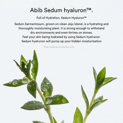 Sedum Hyaluron Pad/Hydrating Touch