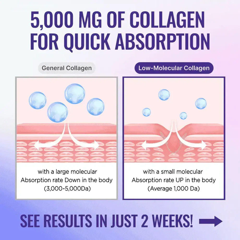 Low Molecular Collagen 5000