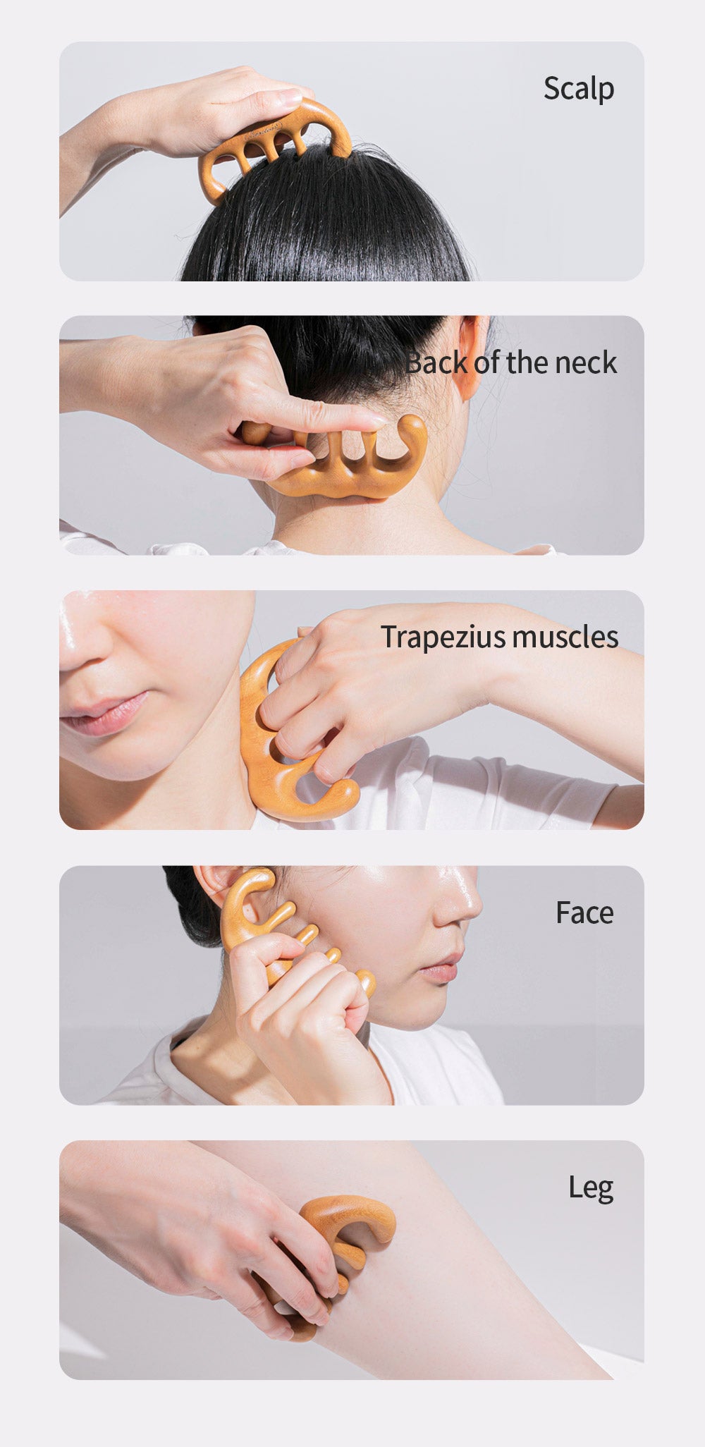 Benton Scalp Brush Massager