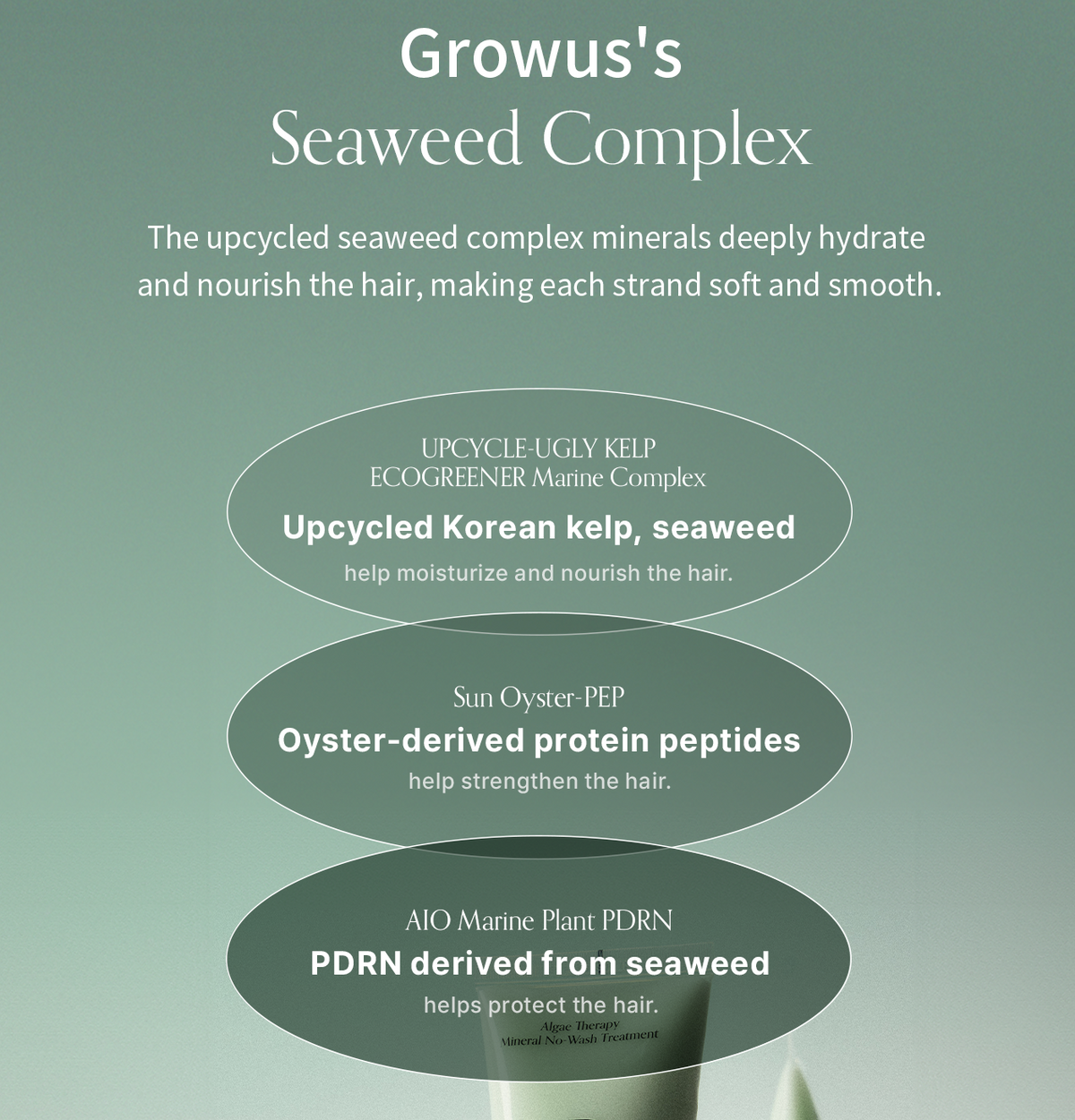 GROWUS Algae Therapy Mineral No-Wash Treatment