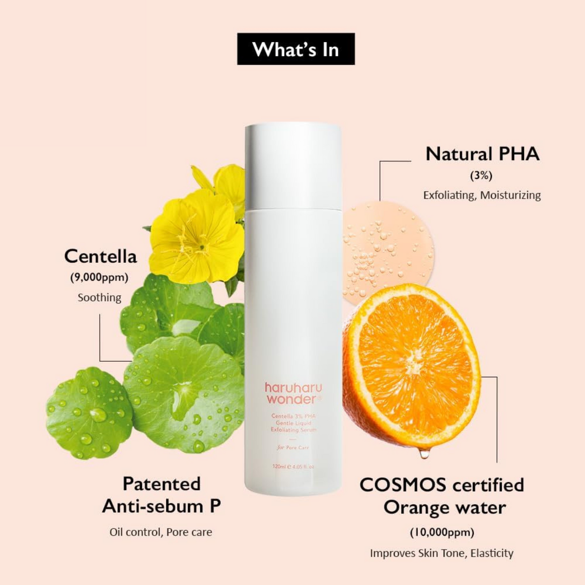 haruharu WONDER Centella 3% PHA Gentle Liquid Exfoliating Serum