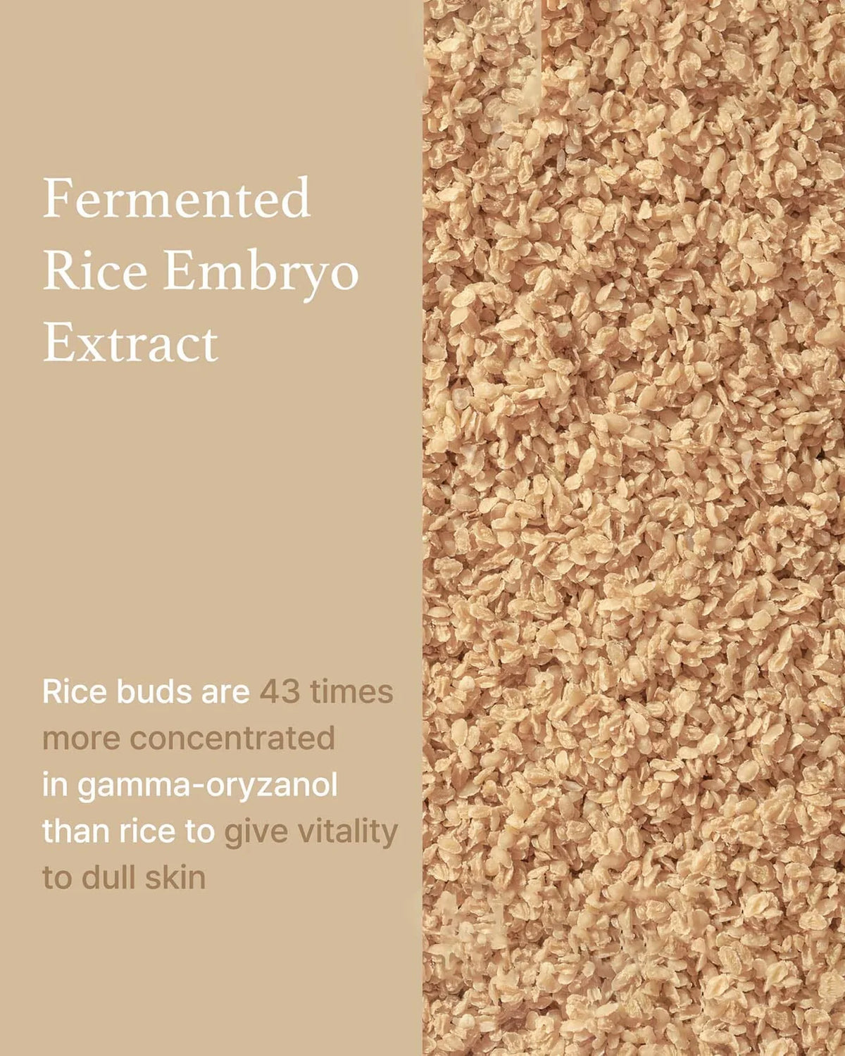 I'm From Rice Serum
