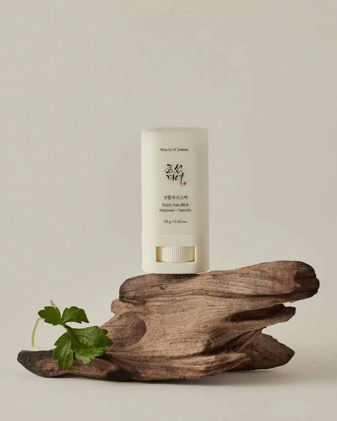 Beauty of Joseon Matte Sun Stick: Mugwort+Camelia SPF 50+ PA++++