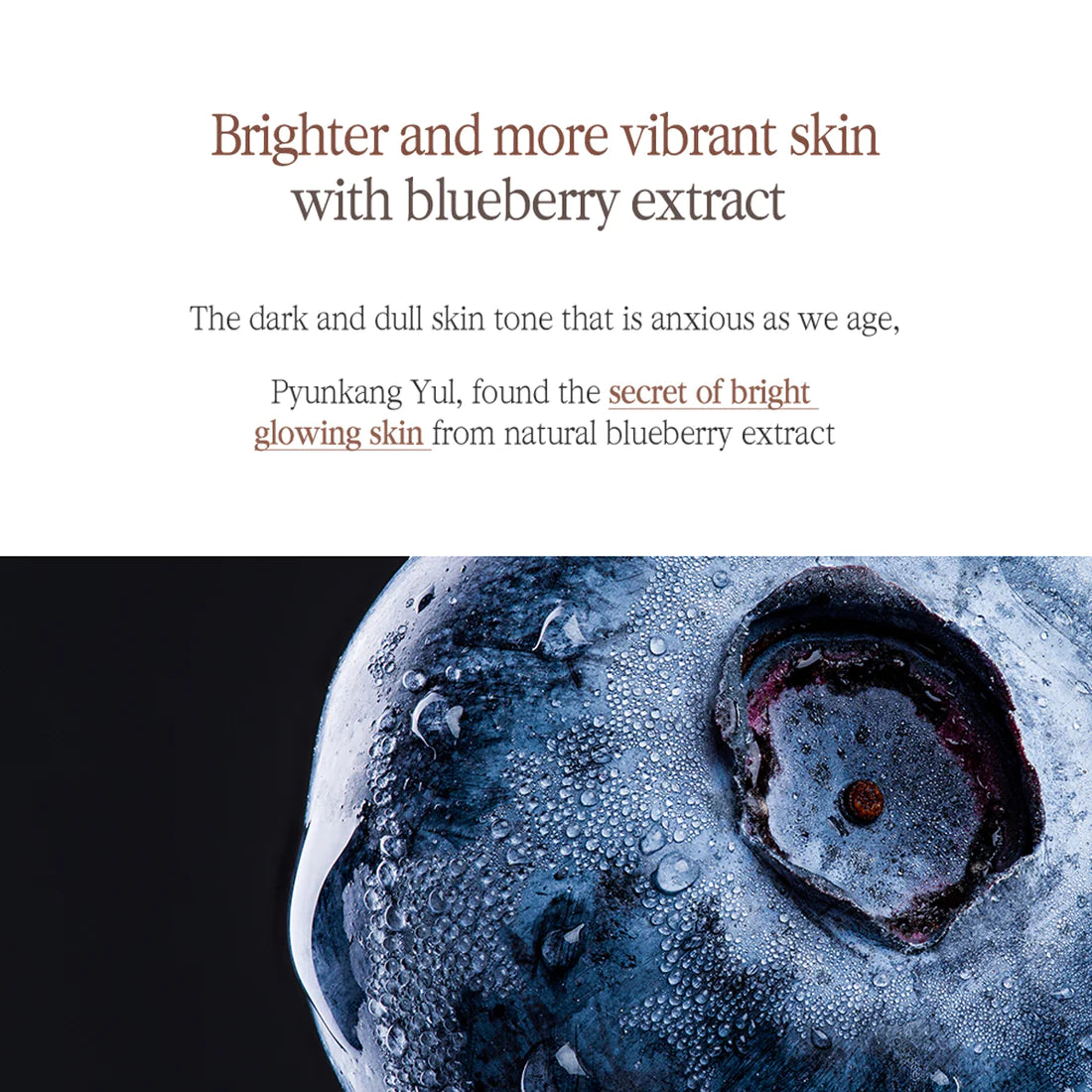 Pyunkang Yul Black Tea Revitalising Mask