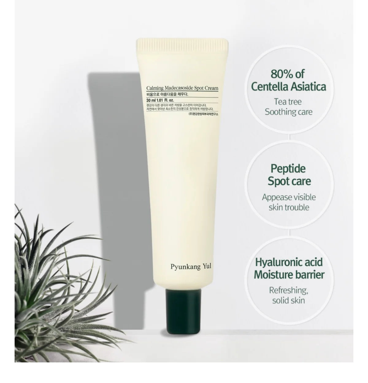 Pyunkang Yul Calming Madecasoside Spot Cream