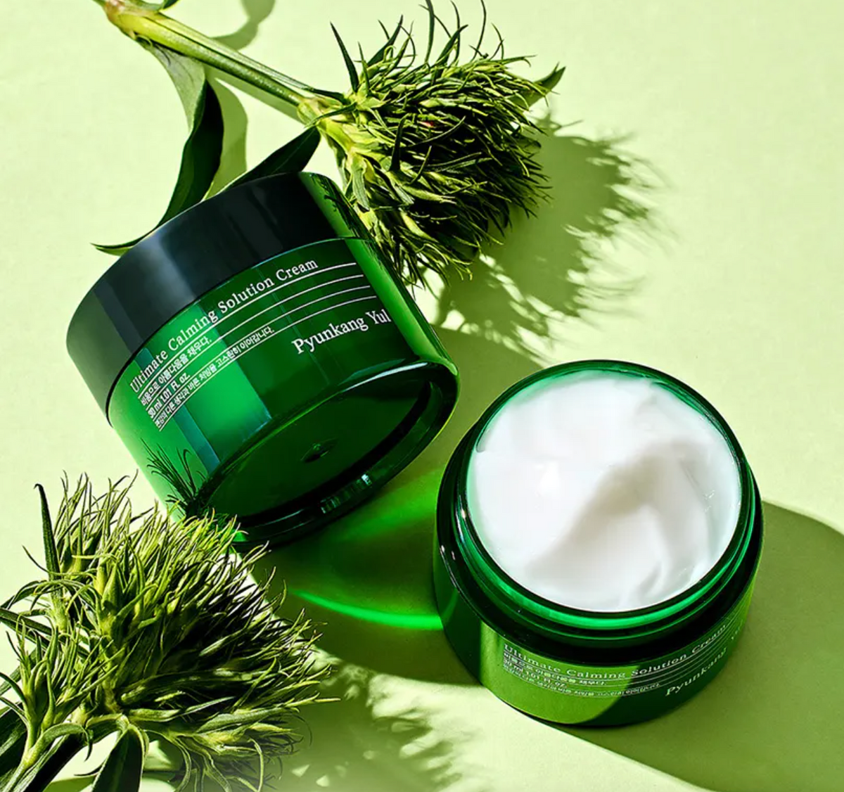 Pyunkang Yul Ultimate Calming Solution Cream