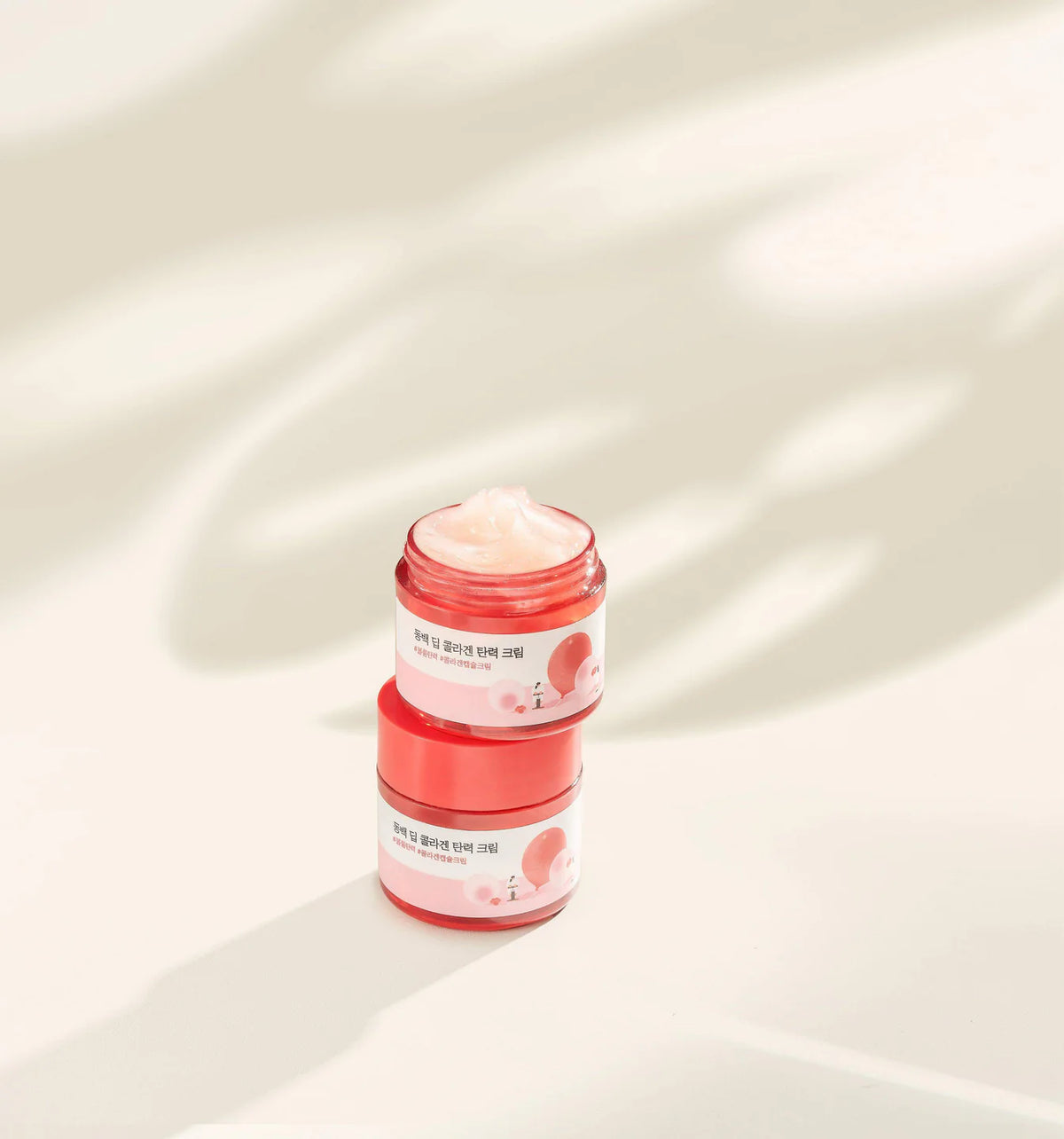 ROUND LAB Camellia Deep Collagen Firming Cream
