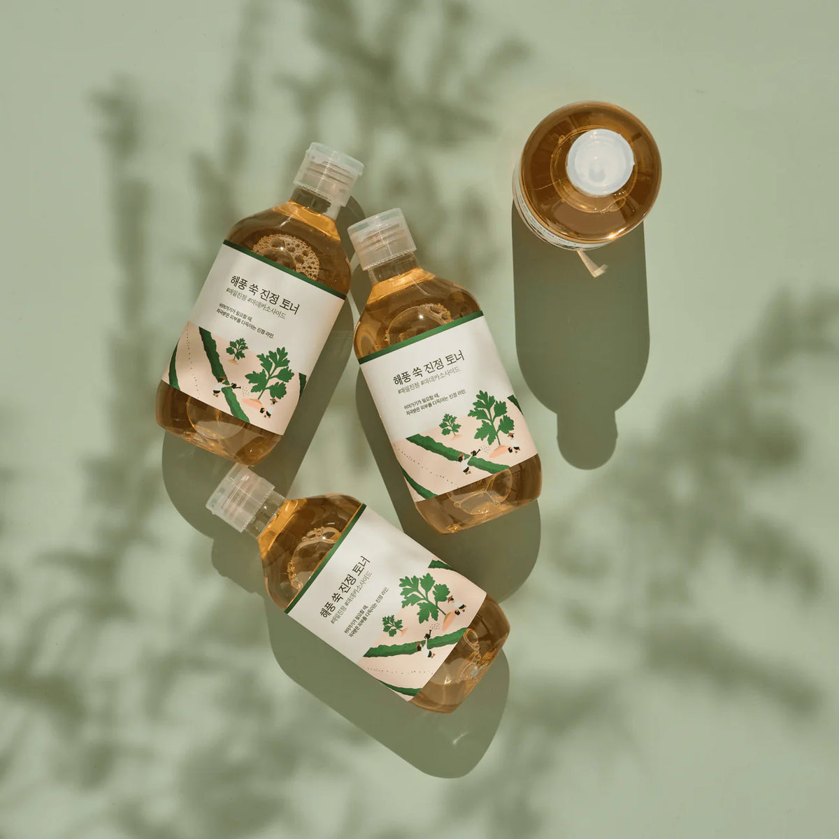 ROUND LAB Mugwort Calming Toner