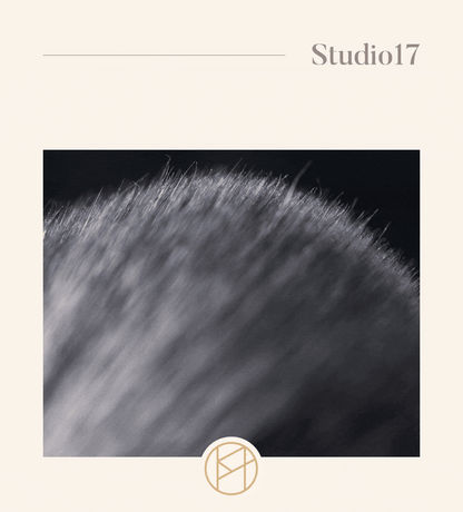 Blush Brush 833