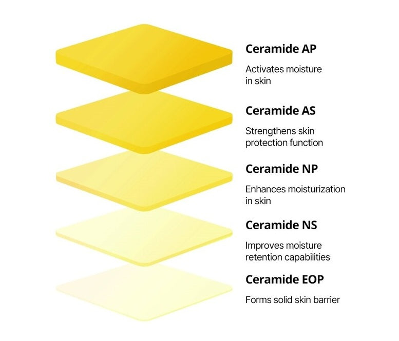 Torriden SOLID IN Essence