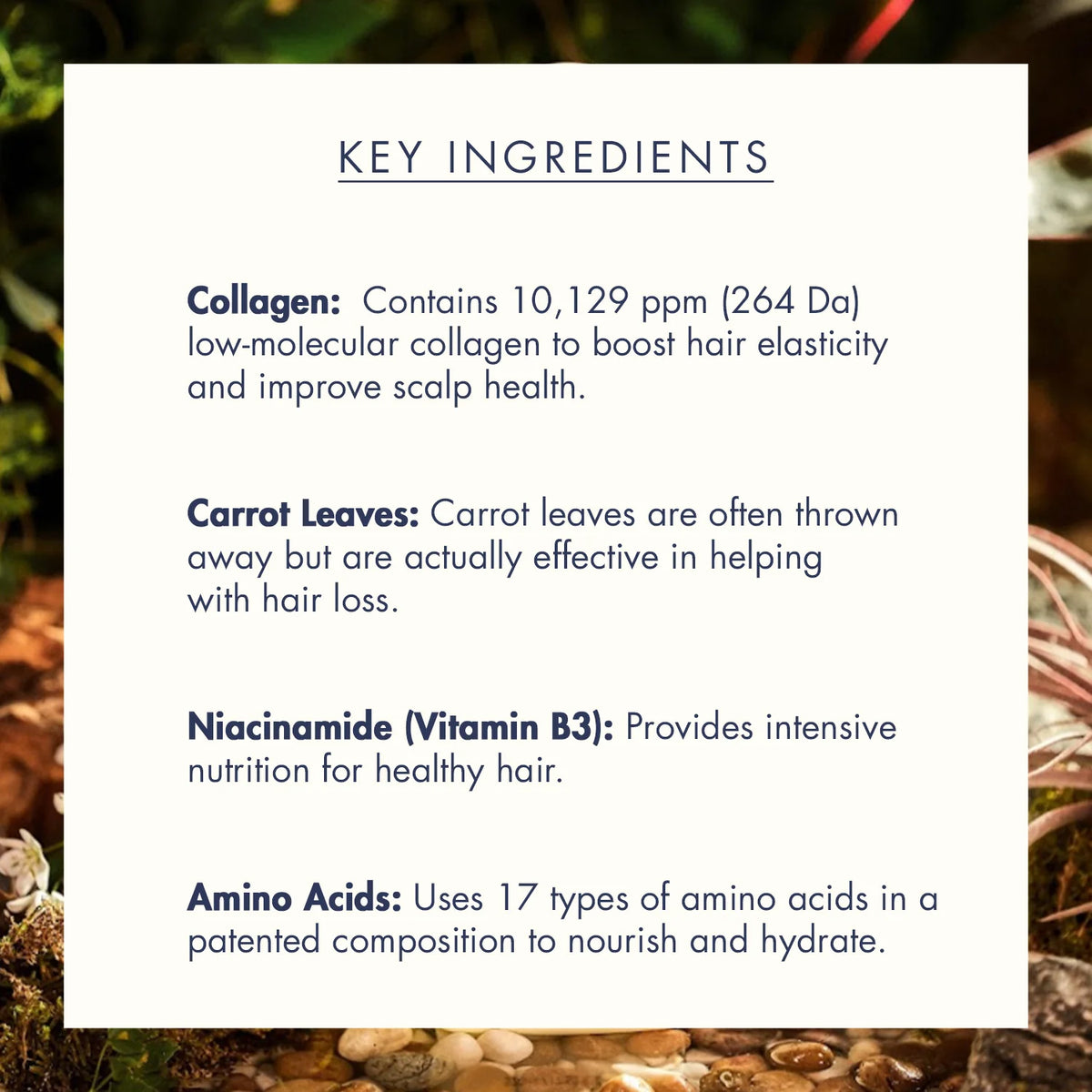 treecell Day Collagen Shampoo [Morning of Resort]