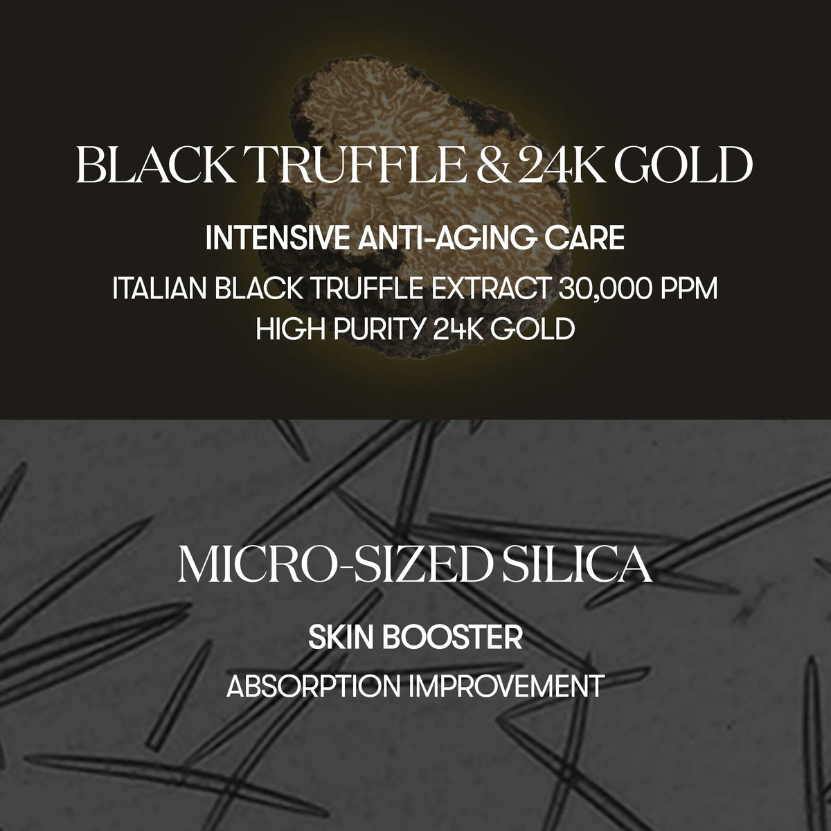 VT COSMETICS Black Truffle Reedle Shot 100