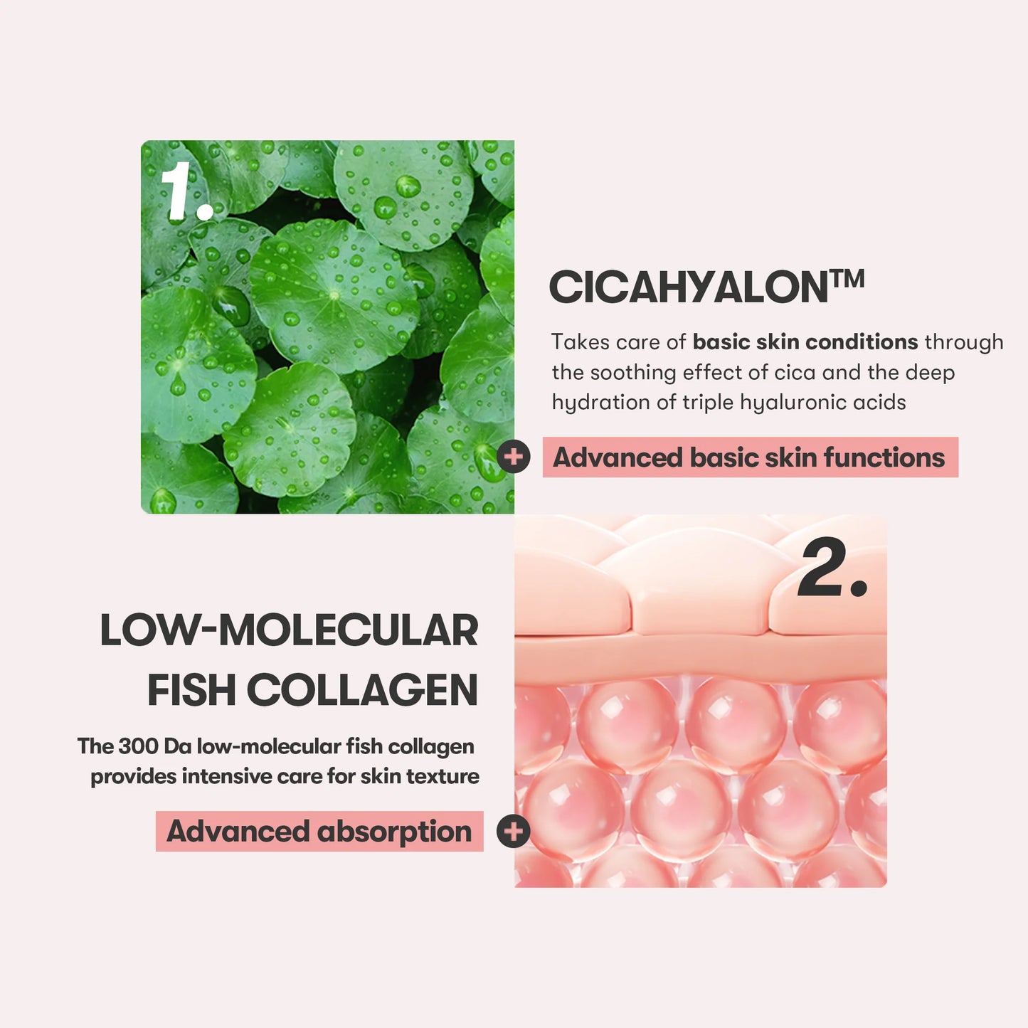 Cica Collagen Eye Cream